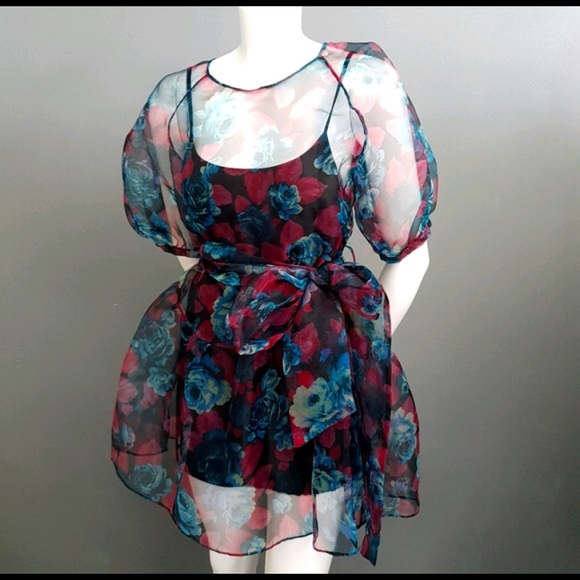 Zara Sheer puff sleeve dress. - Picture 3 of 5